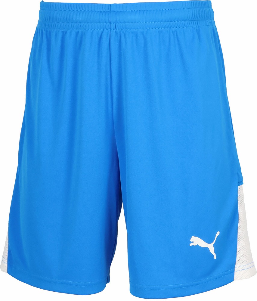 �v�[�} TEAMLIGA �V���[�c�iElectro Royal�E�T�C�Y�FL�j PJ-707346-02-L