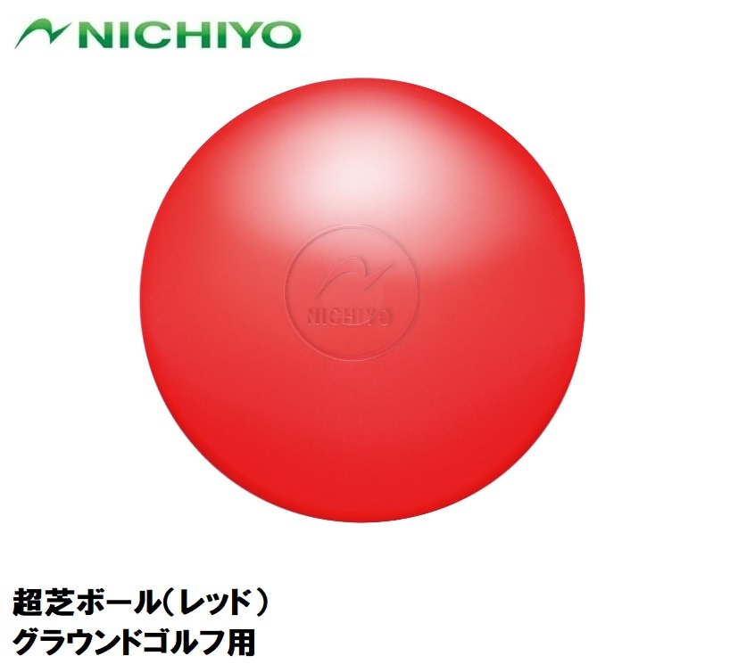 j`[ Ń{[ibhj NICHIYO OEhStp NTY-GG71-R