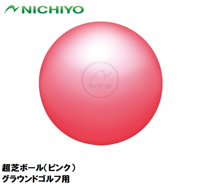 j`[ Ń{[isNj NICHIYO OEhStp NTY-GG71-P